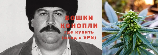 шишки Лиски