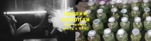мяу мяу мука Аркадак