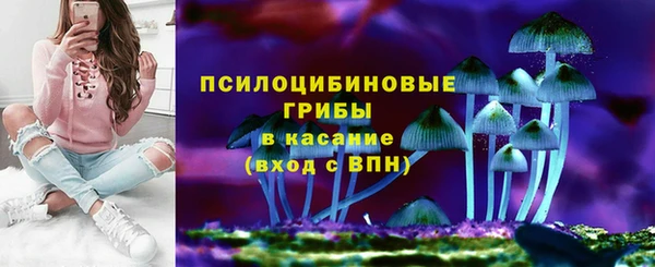 ГАЛЛЮЦИНОГЕННЫЕ ГРИБЫ Баксан