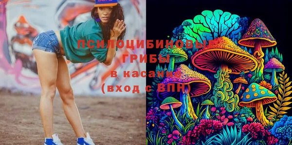 соль курить ск Армянск
