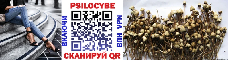 наркотики  Реутов  Галлюциногенные грибы Magic Shrooms 